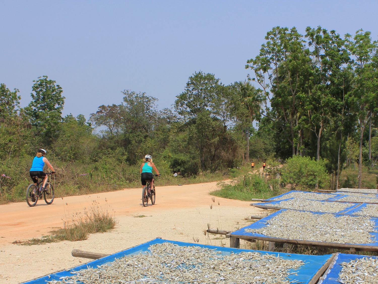Photos from our South Thailand Cycling Holiday